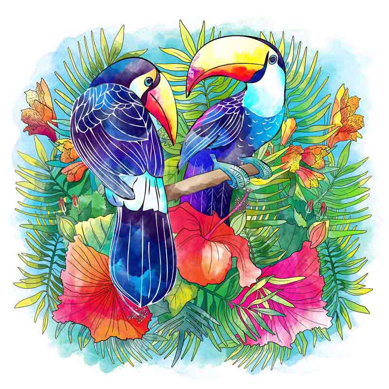 دانلود عکس از توکان ها در جنگل