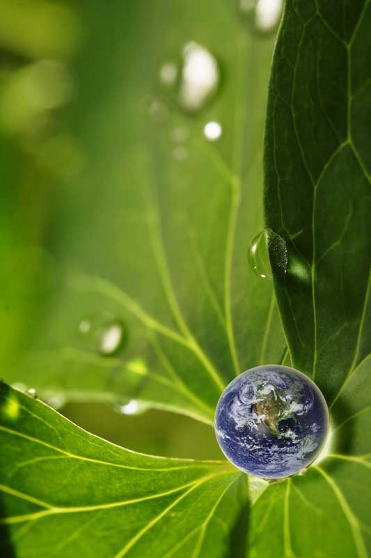 عکس زیبا از زمین در قطره آب