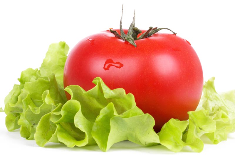 تصویر زیبا از گوجه فرنگی و کاهو تازه