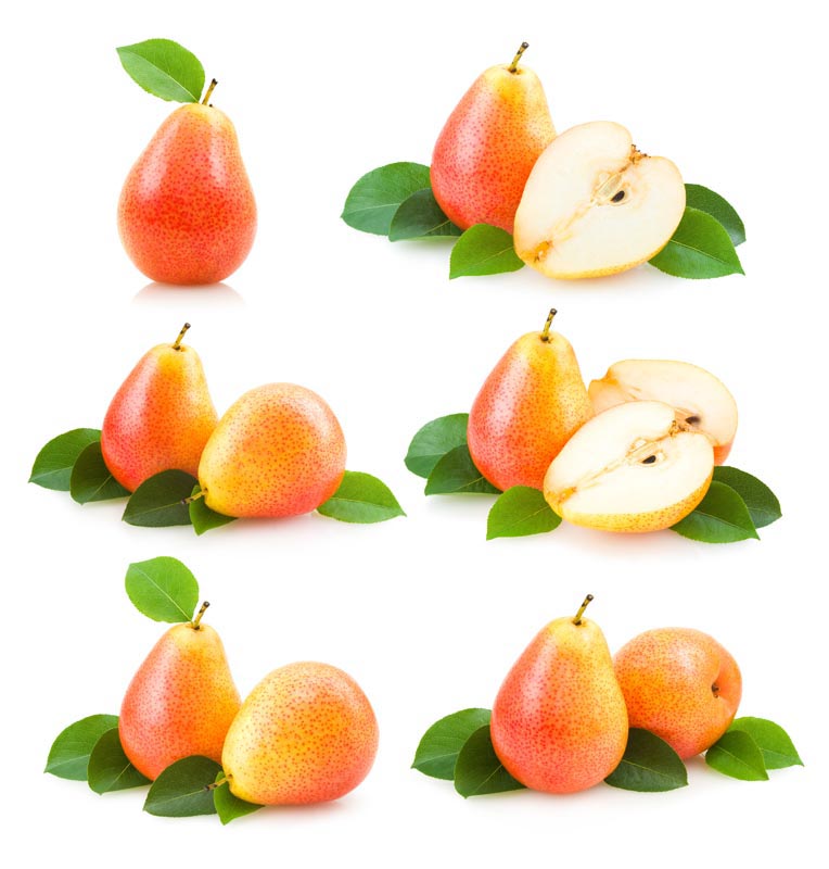 تصویر زیبا از گلابی