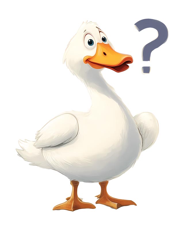 دانلود طرح اردک و علامت سوال