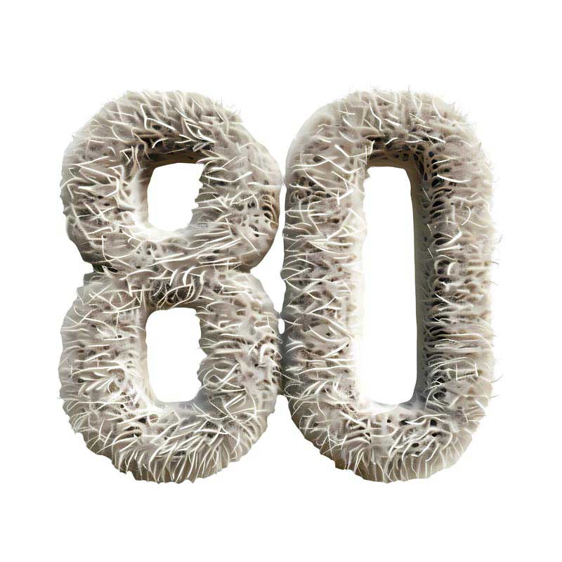دانلود طرح 80